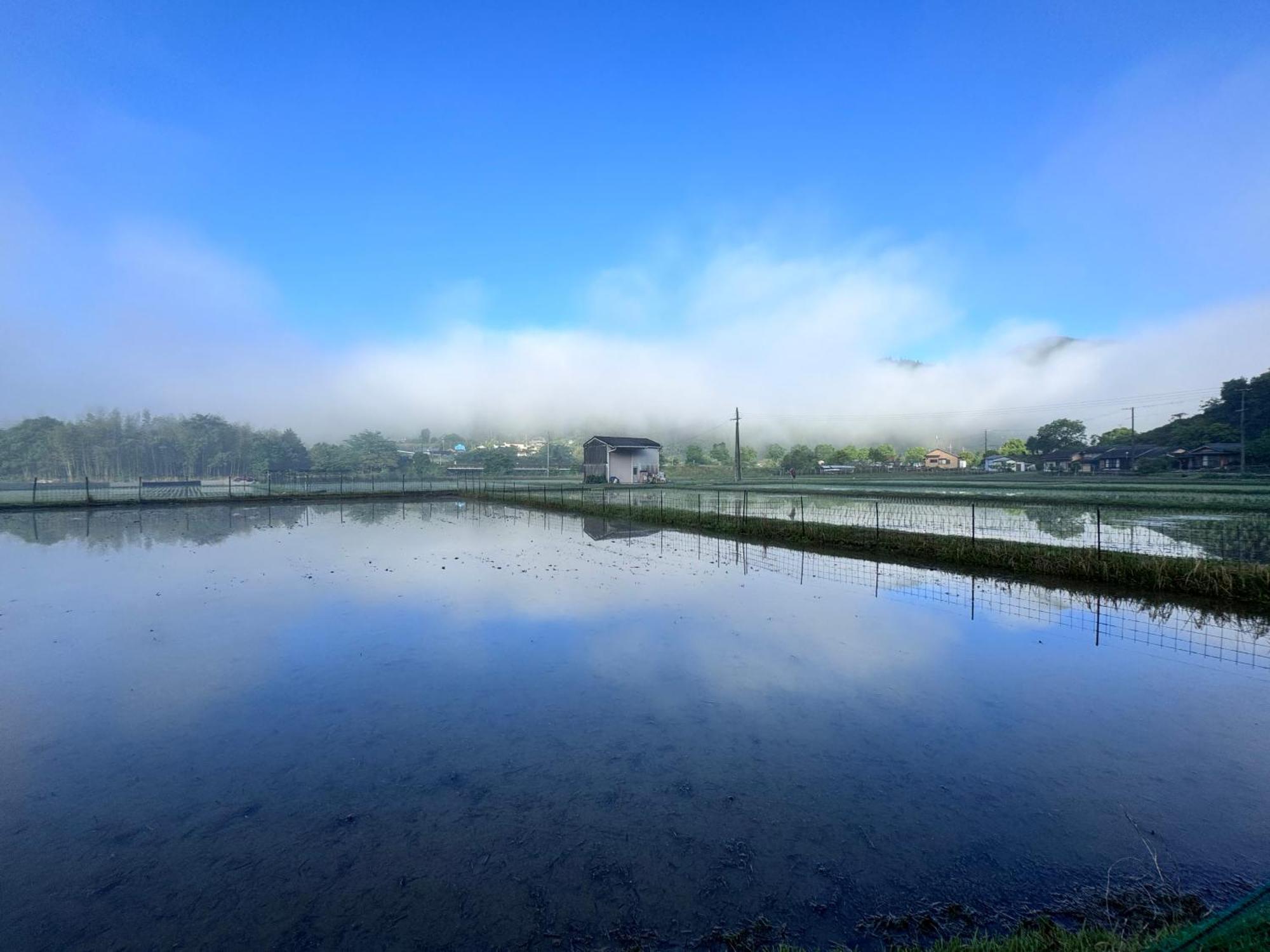 Kumanoyasai Base In Chikatsuyu Villa Tanabe Exteriör bild